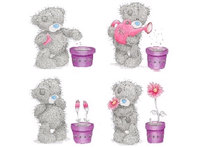 bruin-bear-flowers_1_