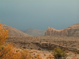 صور من ابداع اعضاء عمان فوتو