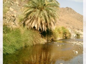 صور من ابداع اعضاء عمان فوتو
