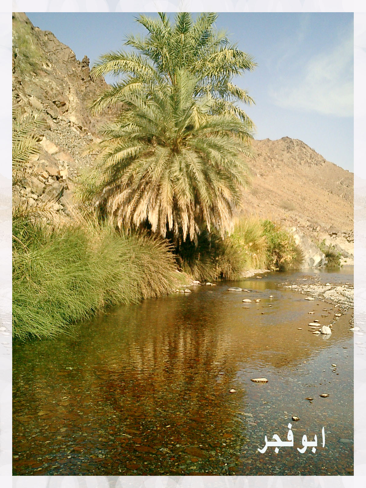 صور من ابداع اعضاء عمان فوتو