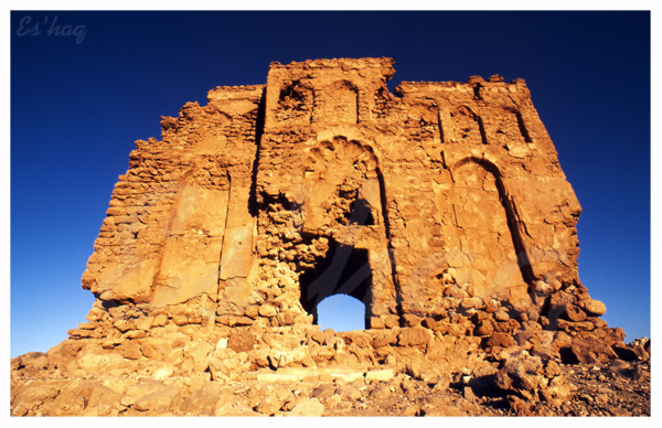 صور من ابداع اعضاء عمان فوتو