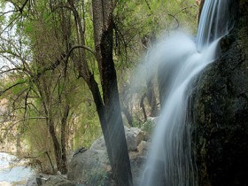 صور من ابداع اعضاء عمان فوتو