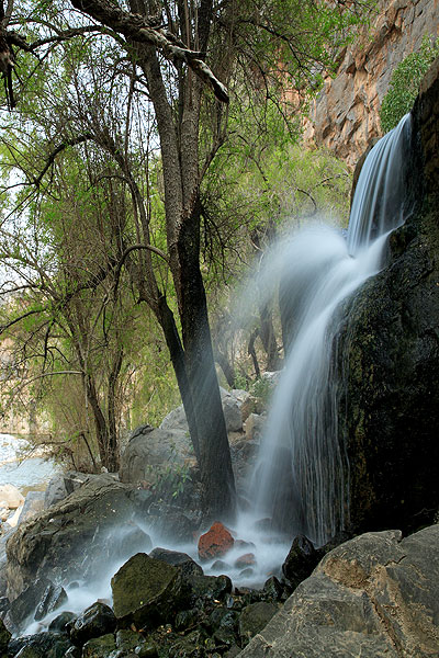 صور من ابداع اعضاء عمان فوتو