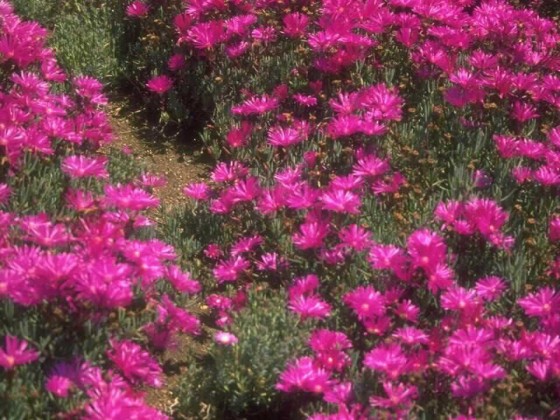 PTBL0143