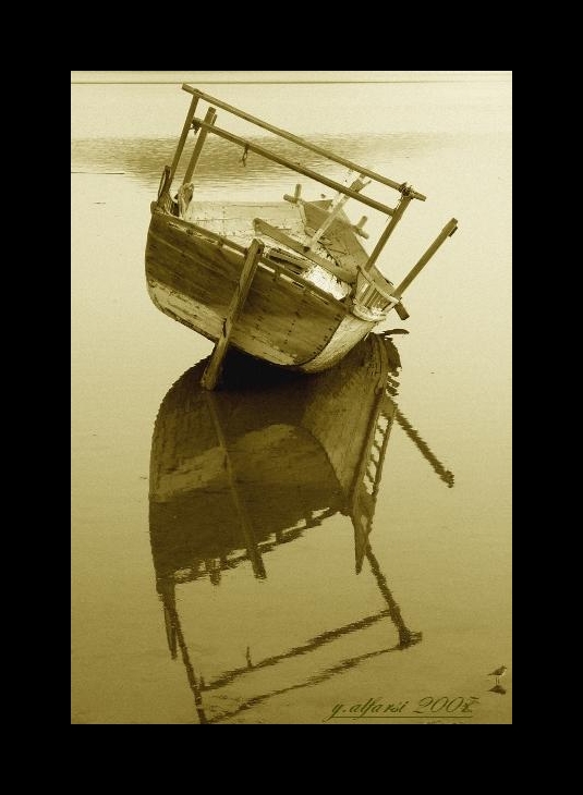 صور من ابداع اعضاء عمان فوتو