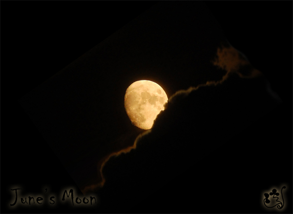 صور من ابداع اعضاء عمان فوتو