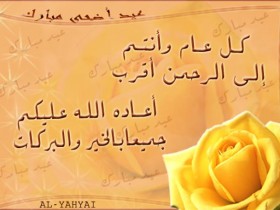 صور من ابداع اعضاء عمان فوتو
