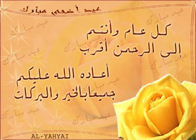صور من ابداع اعضاء عمان فوتو