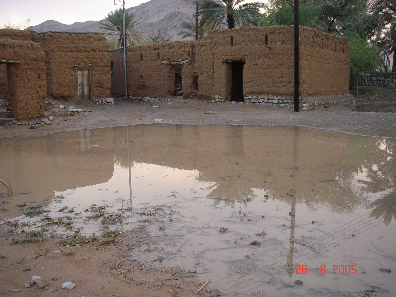 صور من ابداع اعضاء عمان فوتو