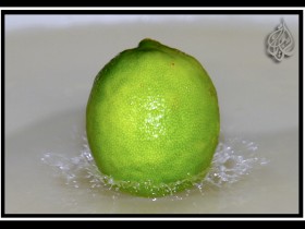 صور من ابداع اعضاء عمان فوتو