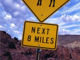 صور منوعة من الإنترنت