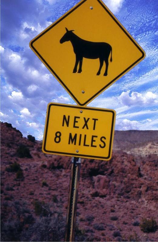 صور منوعة من الإنترنت