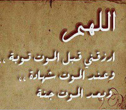 487938_10151479762344939_388574468_n