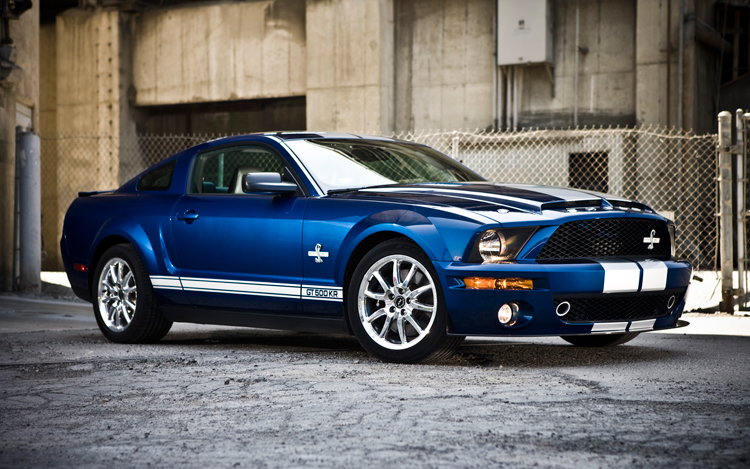 ford_shelby_2008