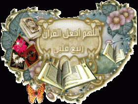 2c8429d555ew0