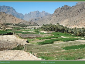 صور من ابداع اعضاء عمان فوتو