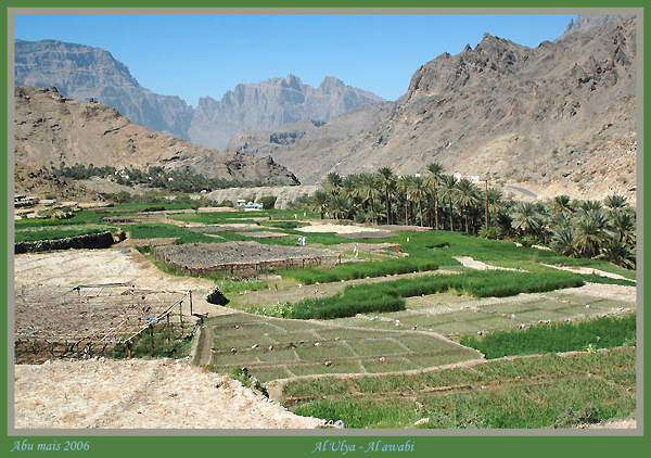 صور من ابداع اعضاء عمان فوتو