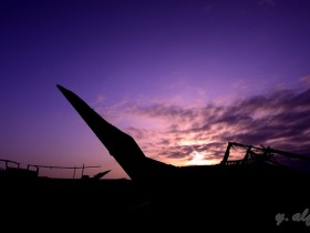 صور من ابداع اعضاء عمان فوتو