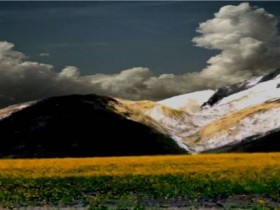 صور منوعة من الإنترنت