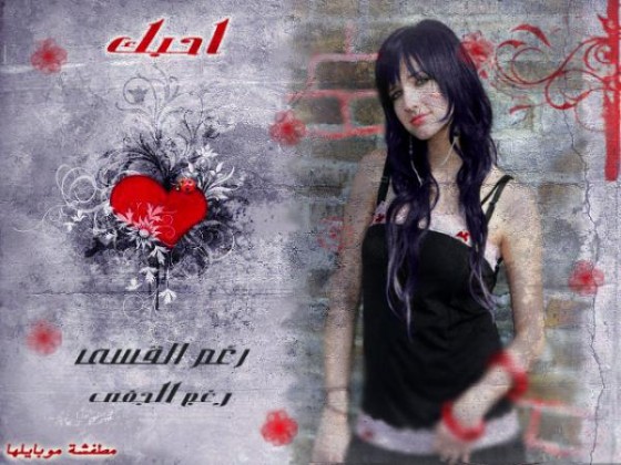 user209700 pic11025 1265898364