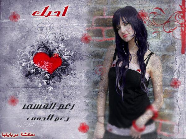 user209700 pic11025 1265898364