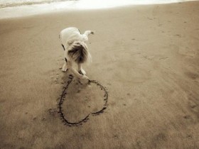 af6d3mdzyvpyt98m0zt0