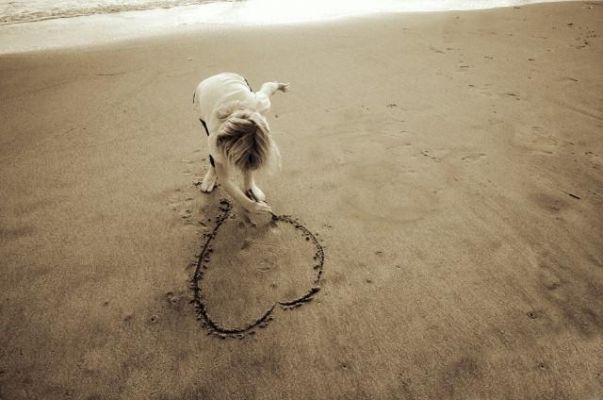 af6d3mdzyvpyt98m0zt0