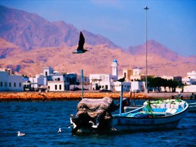 صور من ابداع اعضاء عمان فوتو