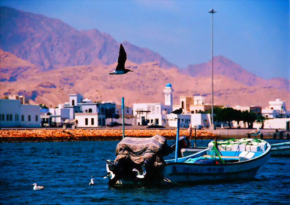 صور من ابداع اعضاء عمان فوتو