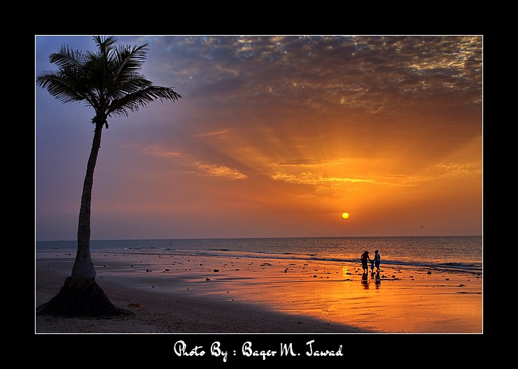 صور من ابداع اعضاء عمان فوتو