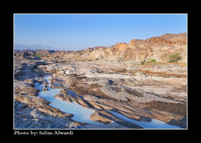 صور من ابداع اعضاء عمان فوتو