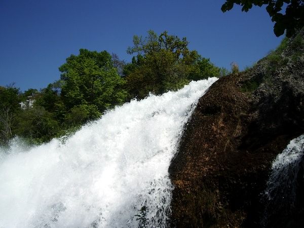 صور منوعة من الإنترنت