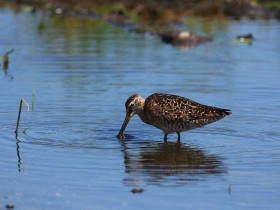 صور منوعة من الإنترنت