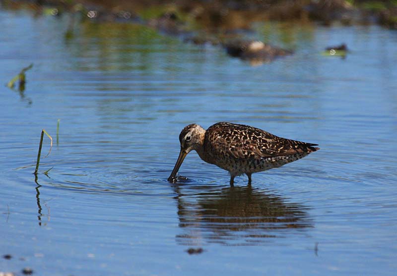 صور منوعة من الإنترنت