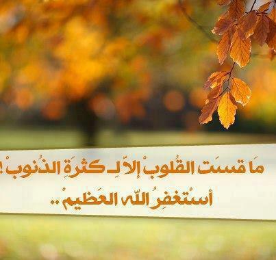 544078_10151350747322799_1709902817_n