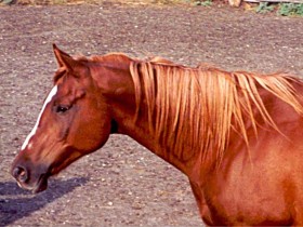 alamuae_gallery-211_1_