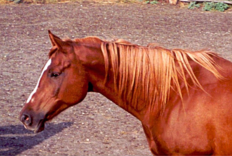 alamuae_gallery-211_1_