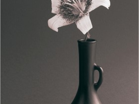 1571821-4d2047fd5e0075fd_2_