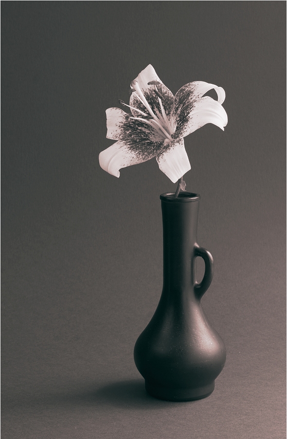 1571821-4d2047fd5e0075fd_2_