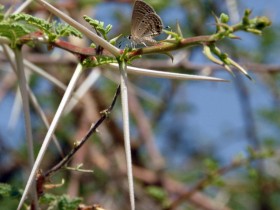 صور من ابداع اعضاء عمان فوتو