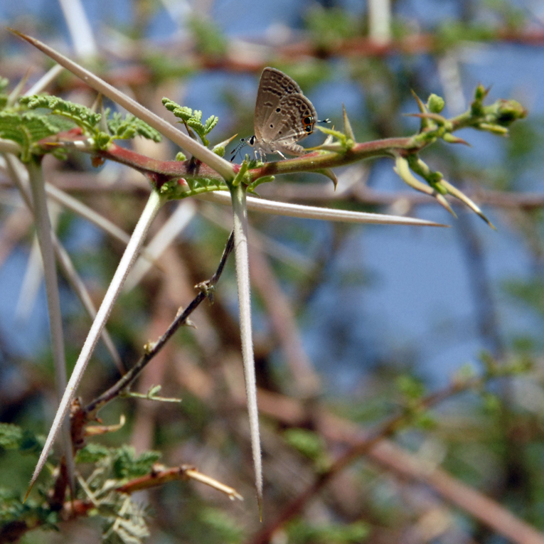 صور من ابداع اعضاء عمان فوتو