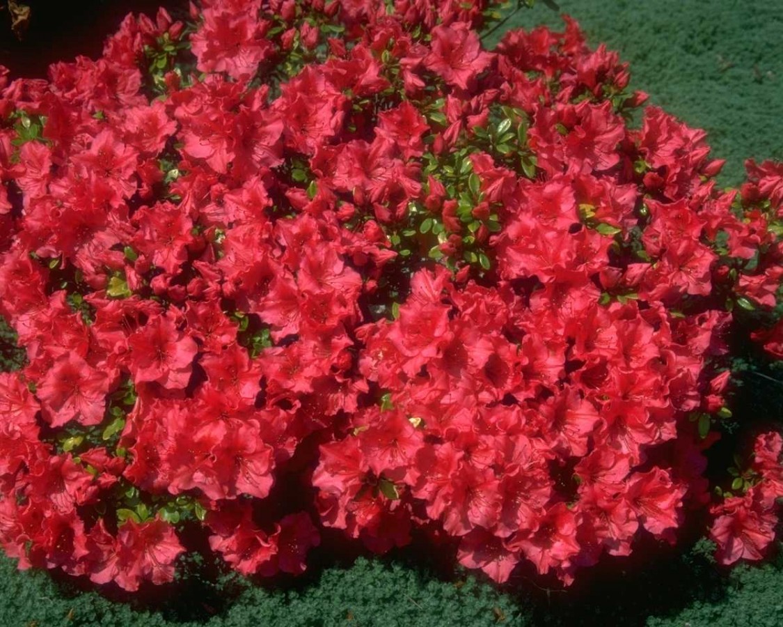 PTBL0147