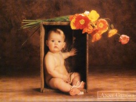 Baby-034