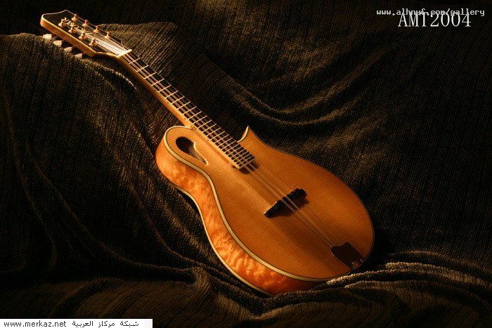 nice_pic_design_photo_50_1_