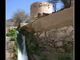 صور من ابداع اعضاء عمان فوتو