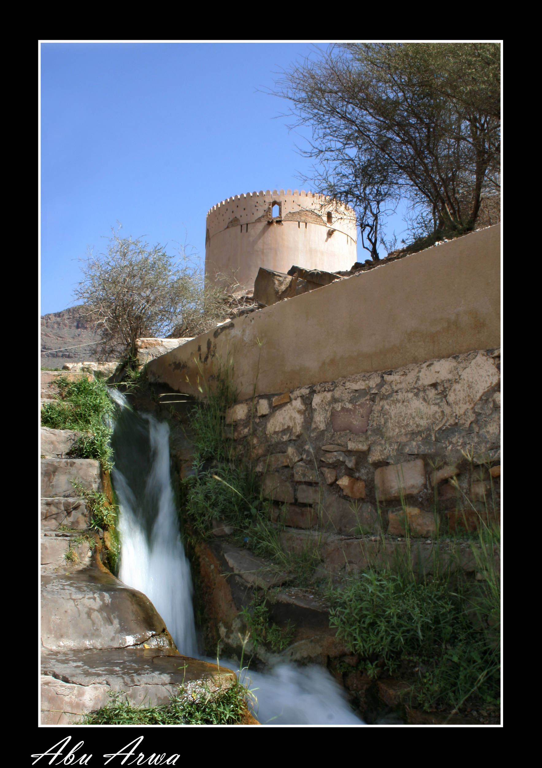 صور من ابداع اعضاء عمان فوتو