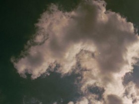 صور منوعة من الإنترنت