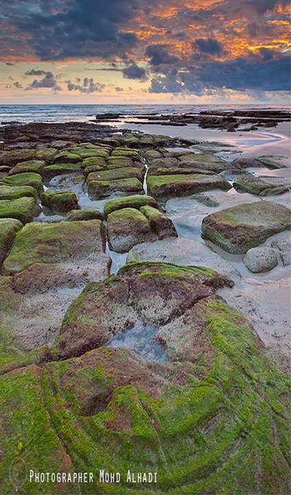 محافظة ظفار