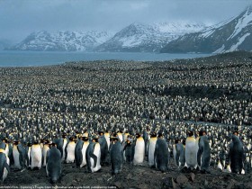 image0079