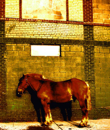 1475711-f74c329cdbb055a1_1_